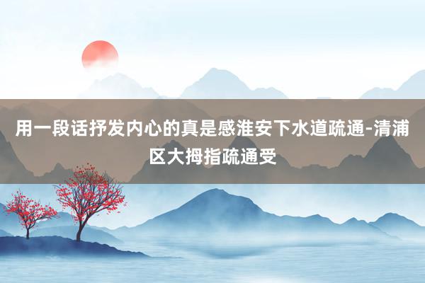 用一段话抒发内心的真是感淮安下水道疏通-清浦区大拇指疏通受